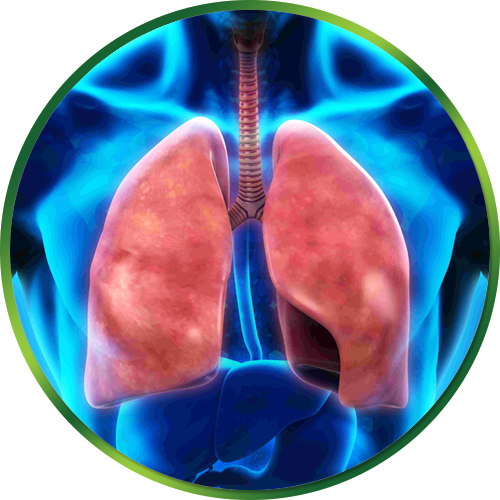 La santé des voies respiratoires